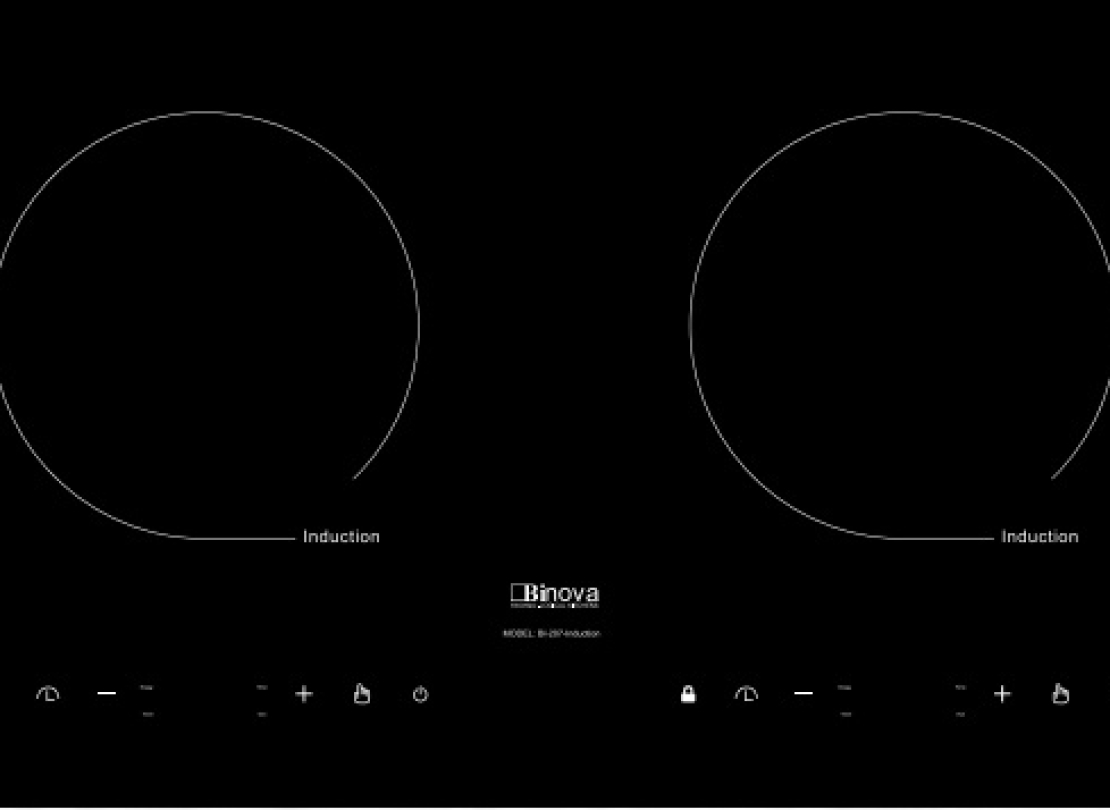 BI - 207 – Induction